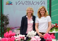 Two recognizable faces, recently joined, in the sector. For the first time Varinova now stood as the cyclamen brand of Syngenta.